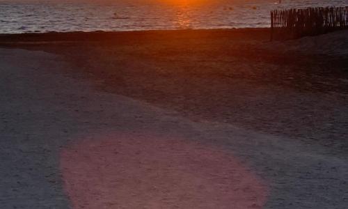 les caravelles plage sud