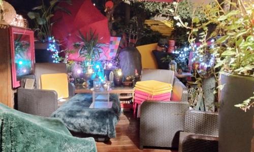 Studiococon végétalisé