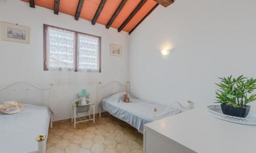 Deluxe Room photo