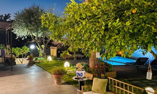 pool & garden Di Massa