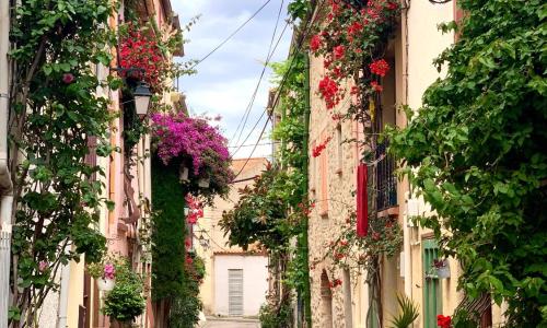 Maison Historique rue Vermeille Argeles sur mer
