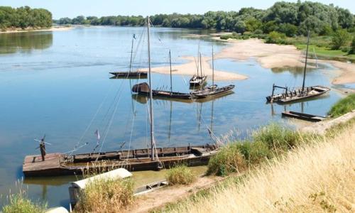Vieux-Port à 45600 Bouteille