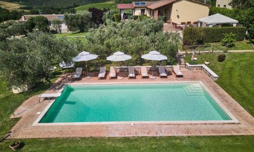 Il Passo Degli Ulivi