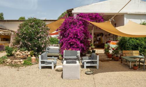 La Casetta Rurale - In Our Garden