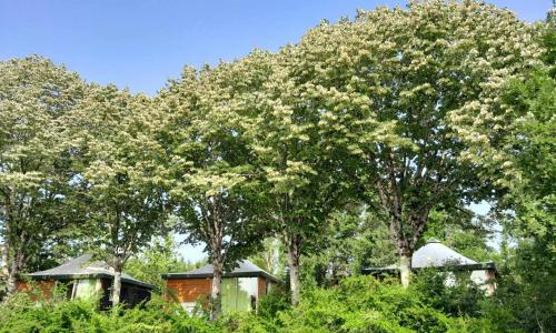 Les Auzerals camping du lac