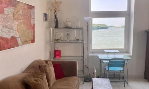 Vue imprenable sur le Rhône Arles Camargue