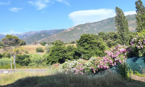 Appartement 2 Pièces Vue Montagne Proximités Grandes Surfaces
