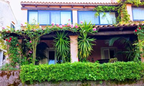 The Secret Garden Maratea - Casa di Sery