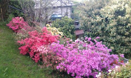 Casa Vacanze Le Violette