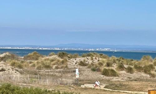 Appartement Port Camargue, 38 pièces, 6 personnes - FR-1-731-15