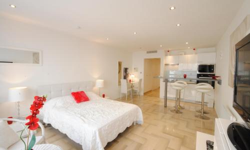 Gray d Albion THI235