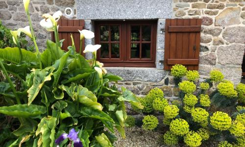 Petit cocoon au calme proche de la mer