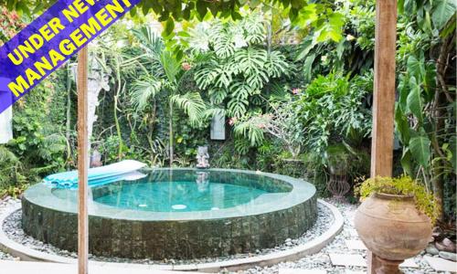 Wonderland Villa - Seminyak