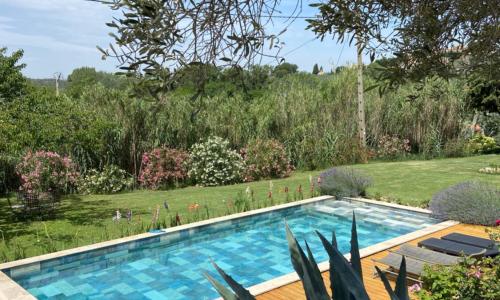 Maisonnette et piscine