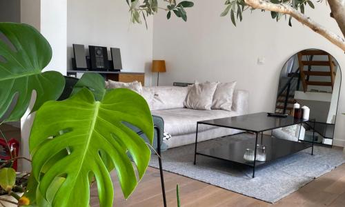 Cosy appartment with outdoor, 15' from downtown