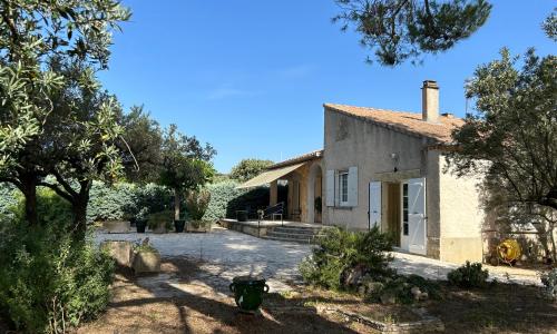 Les oliviers du pradon