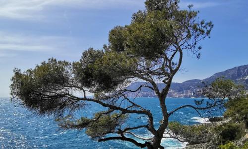 Incantevole Bungalow indipendente a due passi mare