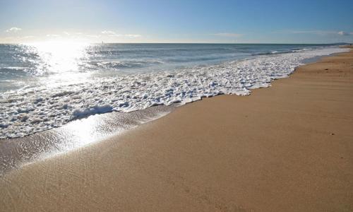APPARTEMENT T2 4 PERSONNES LES PIEDS DANS L EAU ENTRE LA GRANDE MOTTE ET PALAVAS A CARNON PLAGE