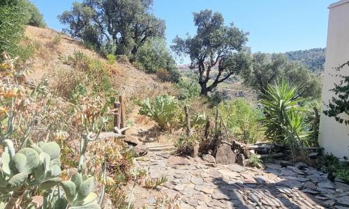 Appartement Cerbère, 2 pièces, 4 personnes - FR-1-309-405