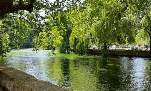 Appartement fontaine de Vaucluse