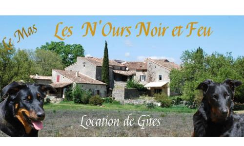 Gîte en pleine nature - 5 à 6 personnes