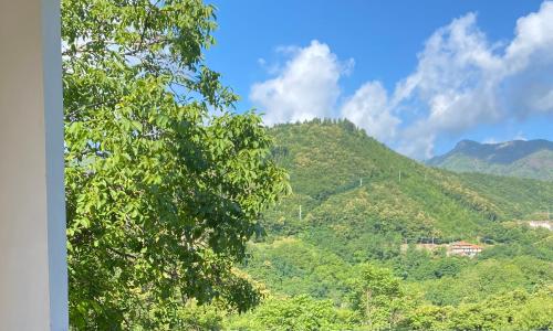 Un rifugio tra il verde e il blu