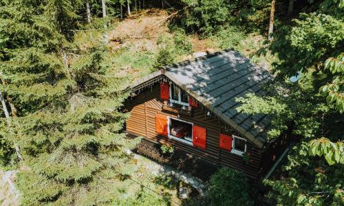 Le Petit Rêve - Lac de Montriond