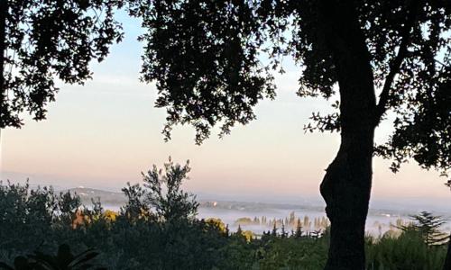 Les restanques Paradou