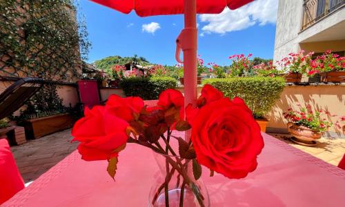 Spoleto Bellasleeps 4spoletocar Not Necessary