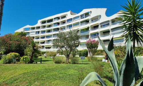 Superbe T2 tout confort classé 3 étoiles, entierement renové, climatisé, piscine wifi et parking gratuits