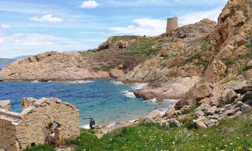 Joli appartement en Corse avec piscine