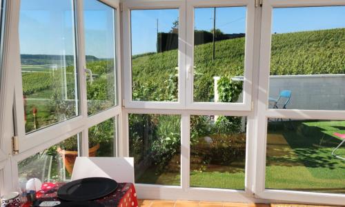 Looking Flor en Champagne