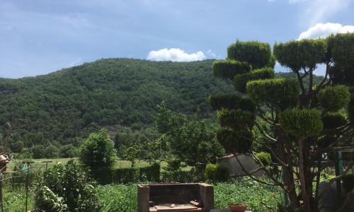 appartement rez de chaussée avec terrasse
