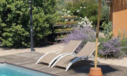 Le gîte du petit branché