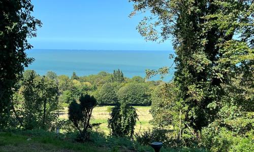 Lumineux appartement, jardin, vu sur mer