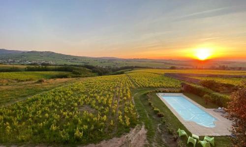 Au cœur des vignes Chénas du Beaujolais