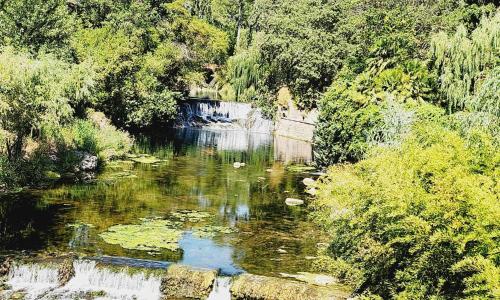 villa en pleine nature