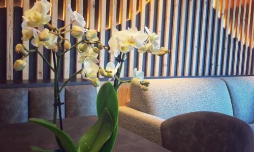 Pra Ciarea Apartments