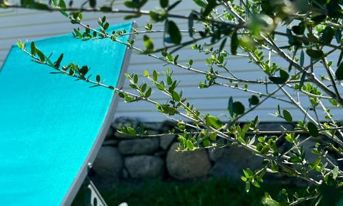 les bungalows de Lisa Maria