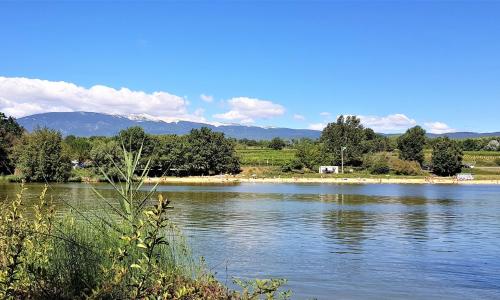 vacances en provence cyprès