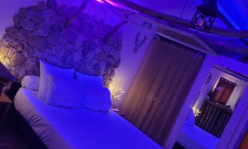 LOVE Room Danslesbois avec spa