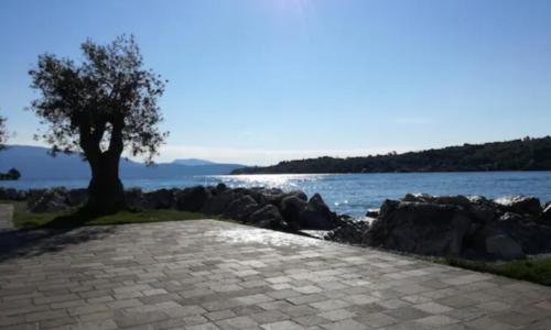 La Benny delle Meraviglie