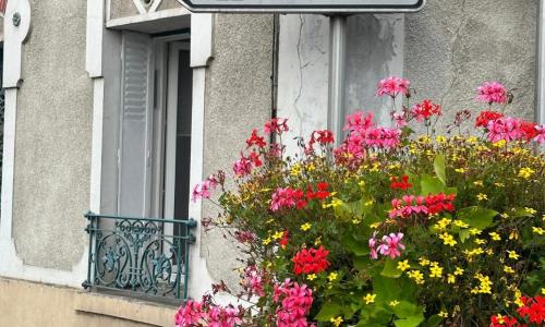 Simple Lovely Studio