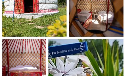 Les insolites de la Baie