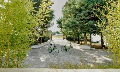 La Terra dei Venti - Casavacanze