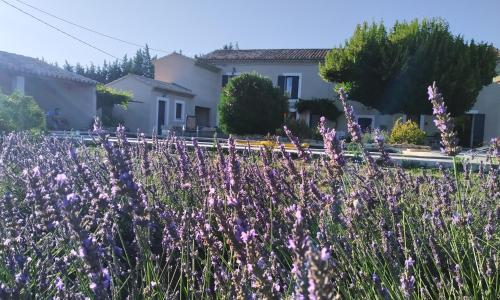 Le Mas des Calus Chambres d'hôtes