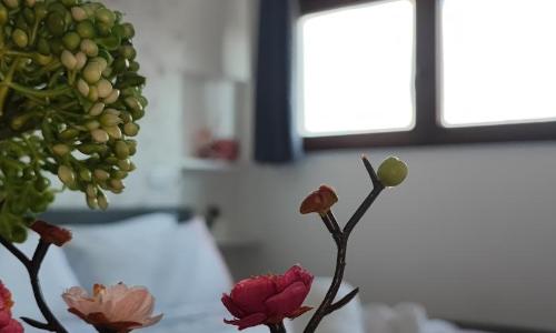 Attico Stella Alpina