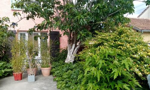 Les Toiles du Figuier