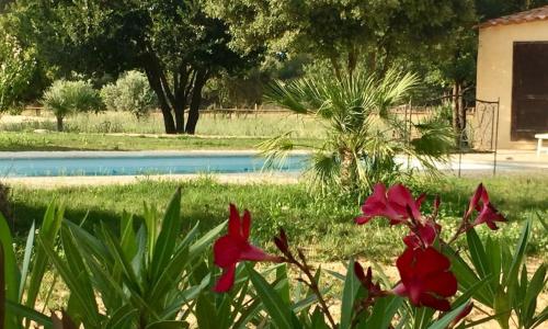 Domaine El Bey - Coin de paradis en Provence