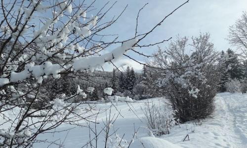 Duplex 59m2 - proche centre - balcon plein sud